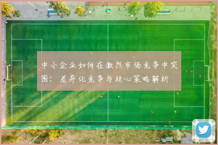 中小企业如何在激烈市场竞争中突围:差异化竞争与核心策略解析
